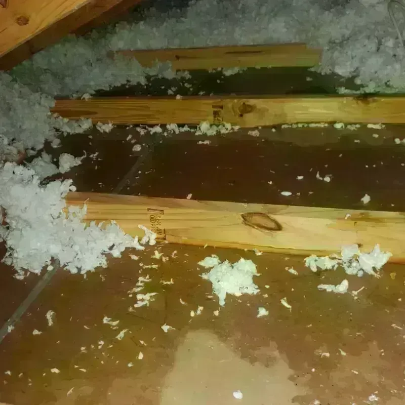 Attic Water Damage in Greenville, ME